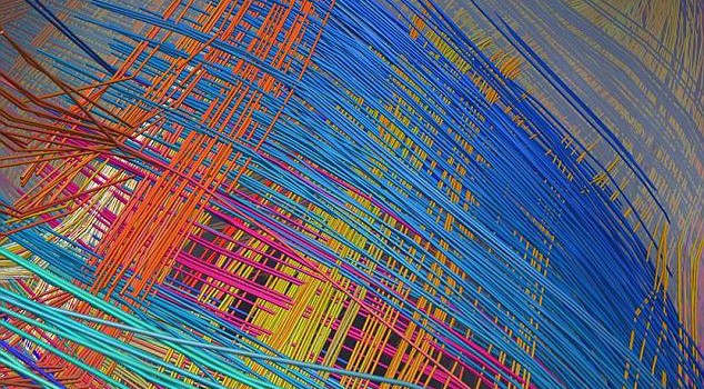 Structure 3D des connexions cérébrales
